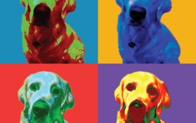 Jax Warhol